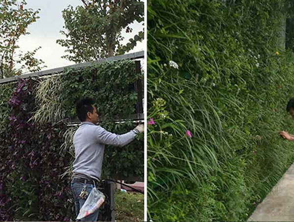 贵阳立体绿化设计的核心原则