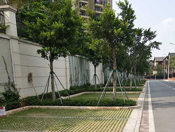贵阳植草砖的功能优势与实际应用 城市绿化铺装专用建材