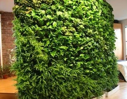 贵阳立体绿化材料的植物搭配设计
